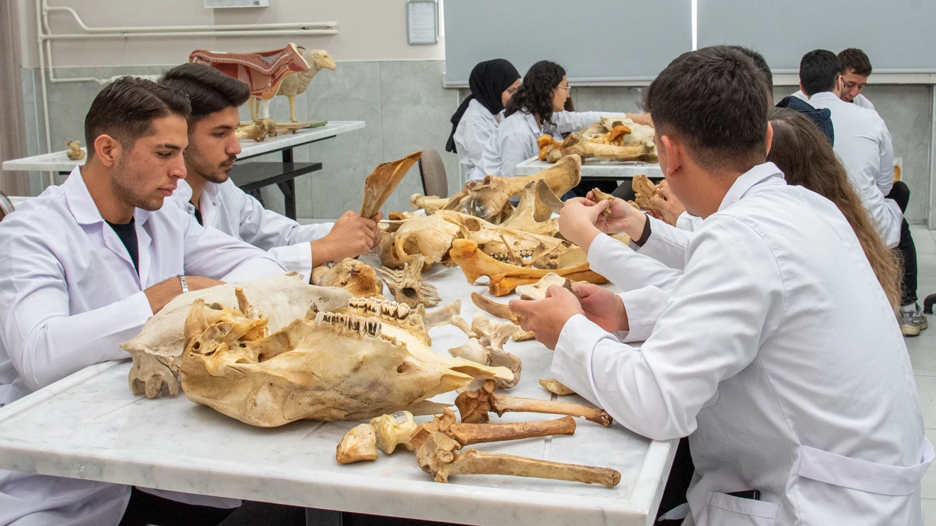 Veteriner Fakültesi, yeni derslik ve laboratuvarlarıyla öğretim kalitesini güçlendirdi